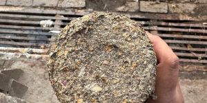 90mm Sawdust Briquettes