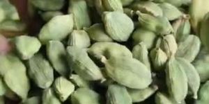 Green Cardamom Seeds