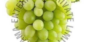 a Grade Fresh Green Grapes