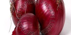 a Grade Fresh Red Onion