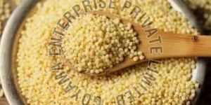 Foxtail Millet Seeds