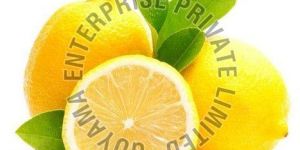 Fresh Yellow Lemon