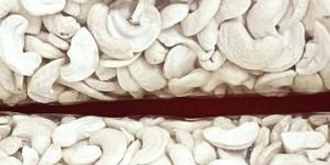 JH Split Cashew Nuts
