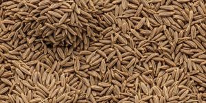 1kg Brown Cumin Seeds