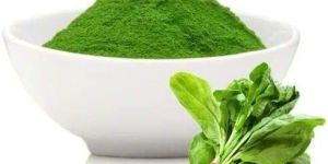 Spinach Powder