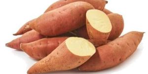 A Grade Indian Sweet Potato
