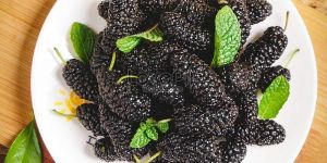 Fresh Indian Mulberry