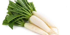 Fresh White Radish