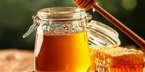 Plain Multi Flora Honey