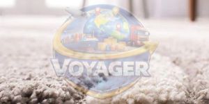 Wool Plush Shaggy Carpet