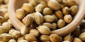 Whole Coriander Seed