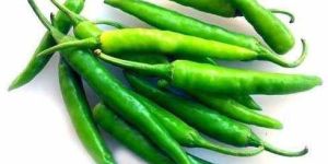 a Grade Fresh Green Chilli