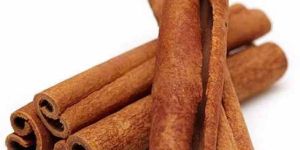 Organic Cinnamon Stick
