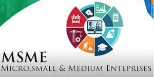 Sme and Msme Insurance Service