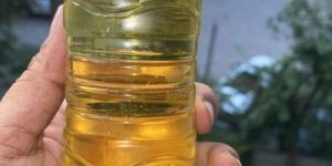 Refined Sunflower Oil