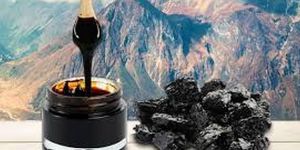 Shilajit Extract