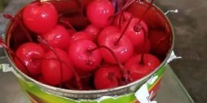Red Cherries with Stem