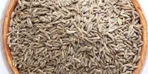 Dry Cumin Seeds