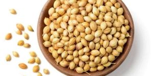 Whole Dry Coriander Seeds