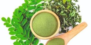 Moringa Powder