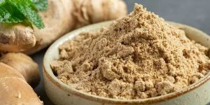 Dehydrated Ginger Powder
