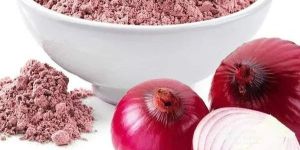 Dehydrated Red Onion Powder
