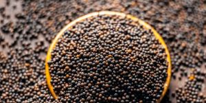Black Whole Mustard Seed