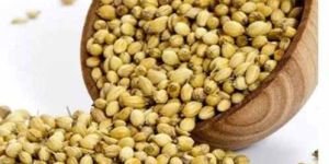 Whole Coriander Seed