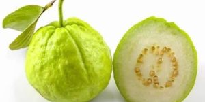 Fresh Guava