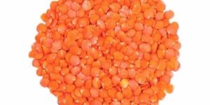 Red Masoor Dal