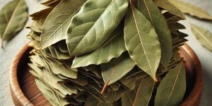 100gm Bay Leaves