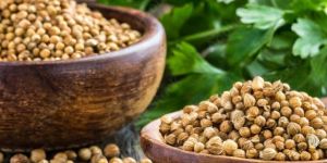 100gm Coriander Seeds