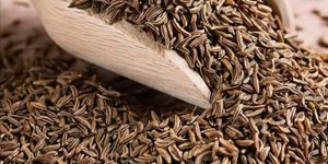 100gm Cumin Seeds