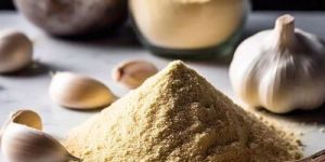 100gm Dehydrated Garlic Powder