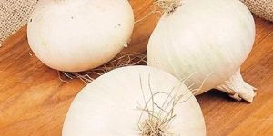 A Grade Fresh White Onion