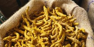 Turmeric
