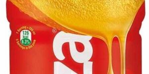 600 Ml Maaza Mango Drink Bottle