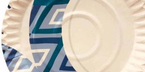 Designer Disposable Paper Plate
