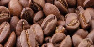Arabica Coffee Beans
