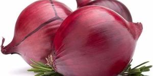 a Grade Fresh Red Onion