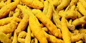 Turmeric Finger