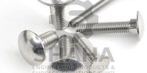 Stainless Steel Carriage Bolt