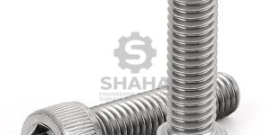 Stainless Steel Socket Screw