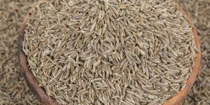 Brown Cumin Seeds