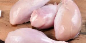 Frozen Chicken Leg