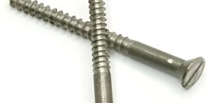25 Mm Mild Steel Wood Screw