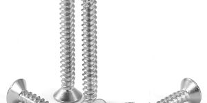 25 Mm Stainless Steel Self Tapping Screw