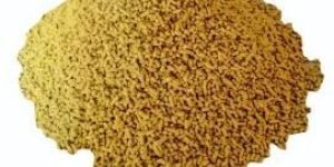 India Pure Danedar Chandan