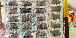 Whole Dried Mixed Spices