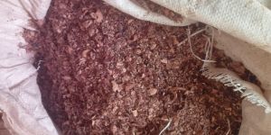 Cashew Nut Husk